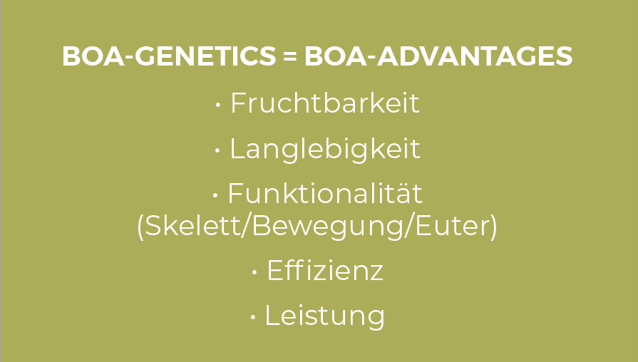 Tabelle Boa Genetics